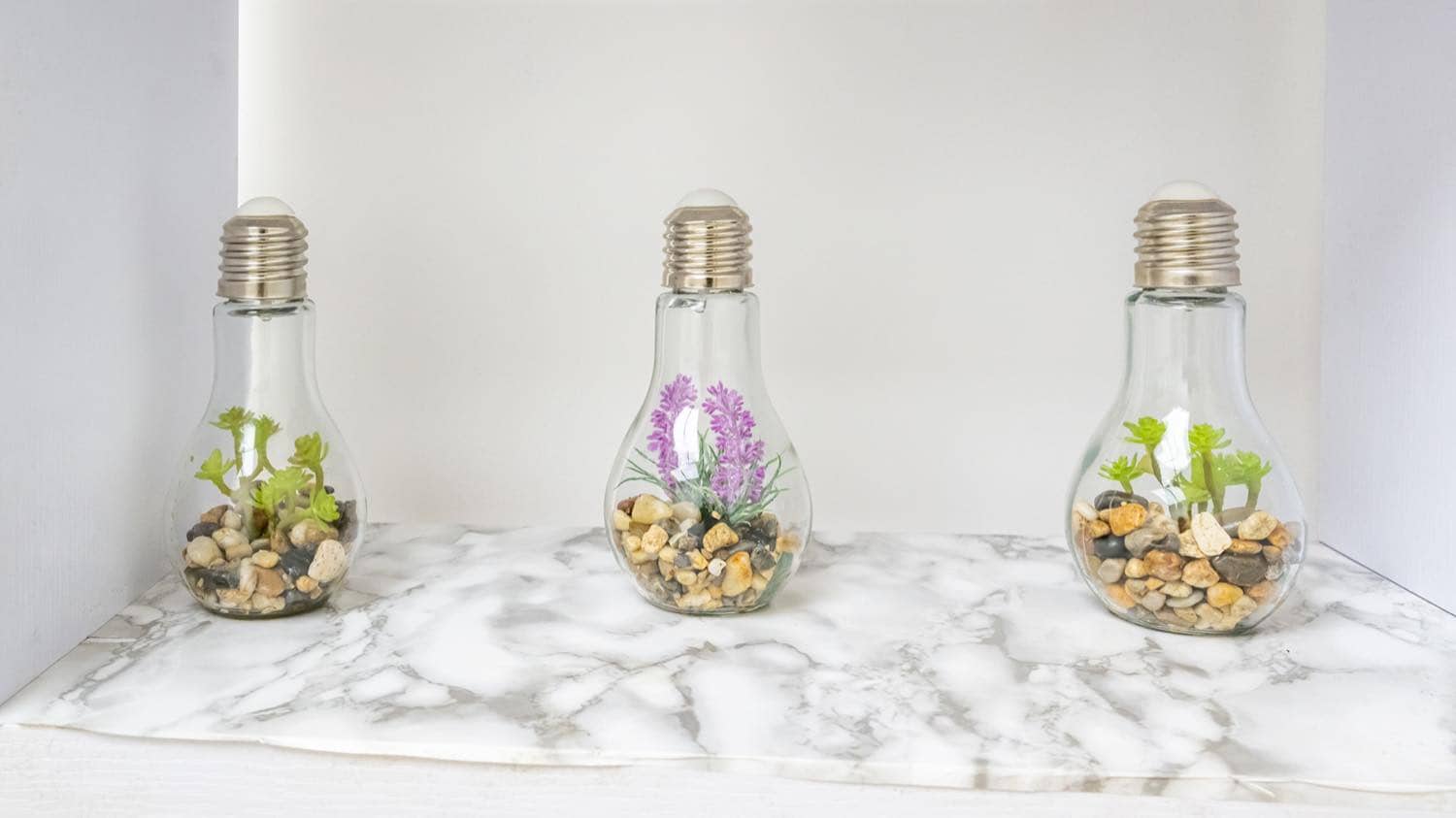 Bulb terrariums on a marble shelf at the clinic